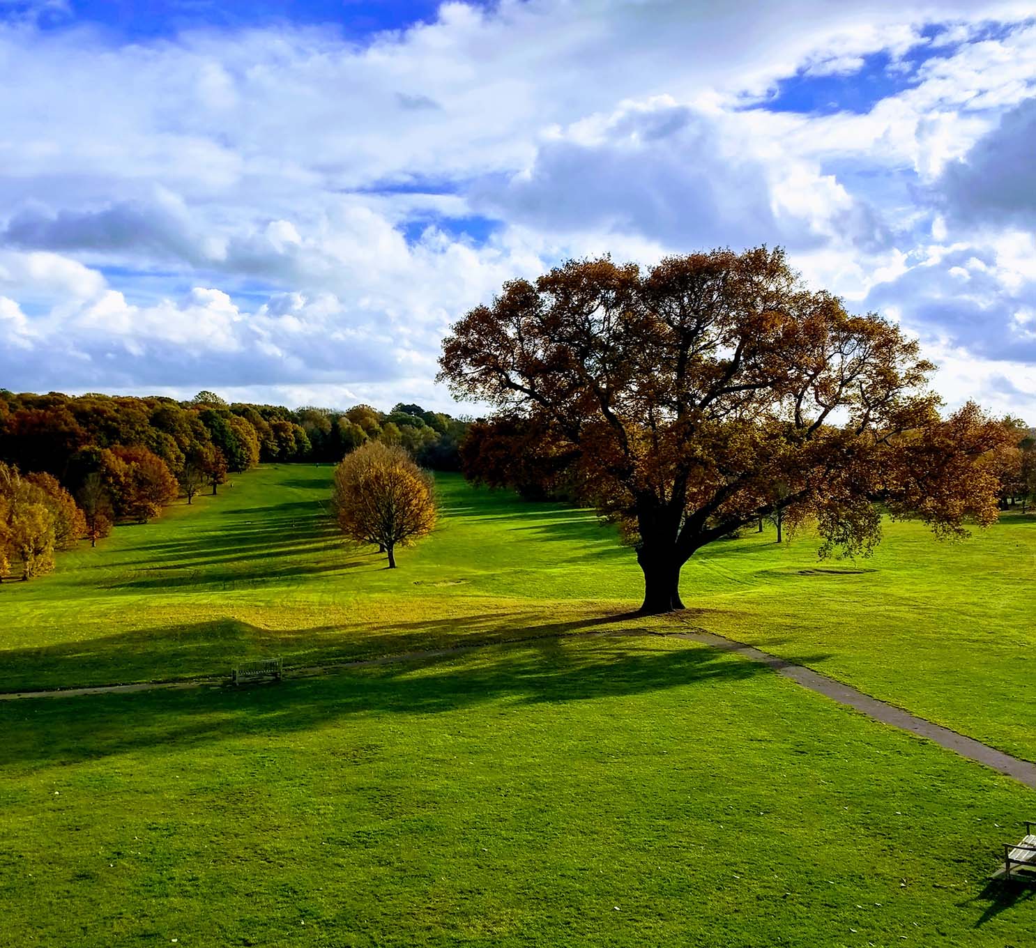 About Us -  Francis Chappell & Sons Funeral Directors London